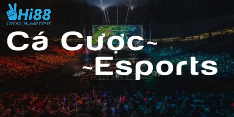 Tổng hợp những sảnh cá cược Esports HI88 hấp dẫn